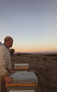 APITURISMO BRIVIESCA