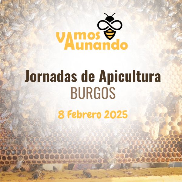 jornadas apicultura Burgos ASAPIBUR Vamos Aunando