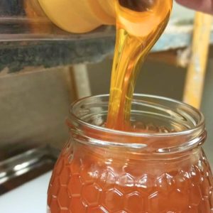 Miel artesana ecológica
