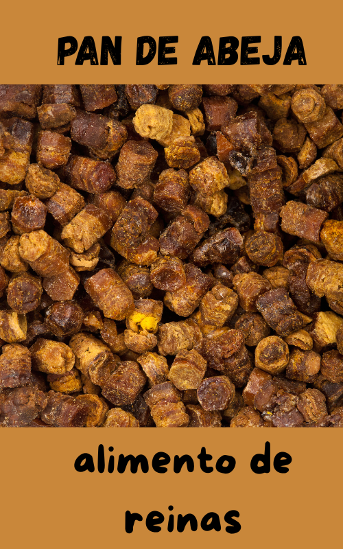 pan de abeja, alimento de reinas