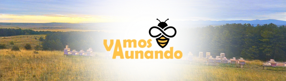 colmenar vamos aunando miel artesana