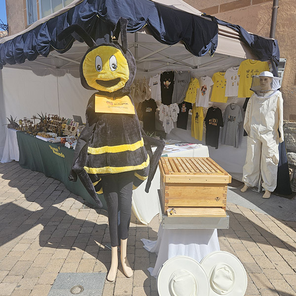 Vamos Aunando Miel Artesana Multifloral